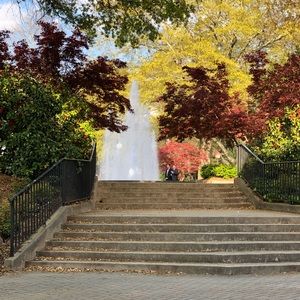 Meet your Posher, Carey